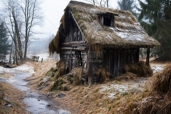 积雪覆盖的乡村小屋图片