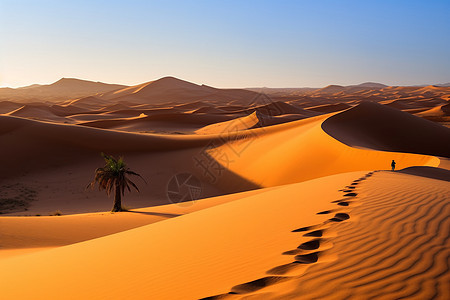 壮观的撒哈拉沙漠景观图片