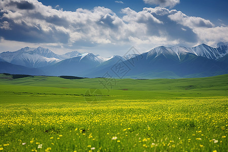 美丽的喀拉峻大草原景观图片