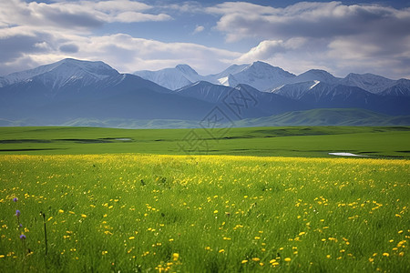 夏季旅游的喀拉峻大草原景观背景