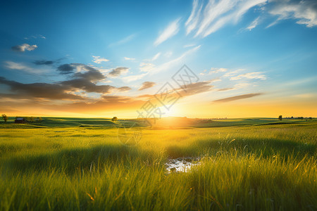 日出时的草原景色图片