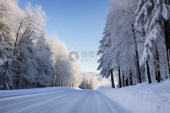 冬日的乡村风光图片