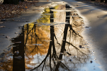 秋天积水的街道图片