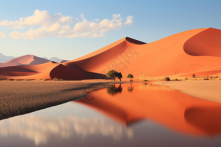 沙漠绿洲的旅行图片