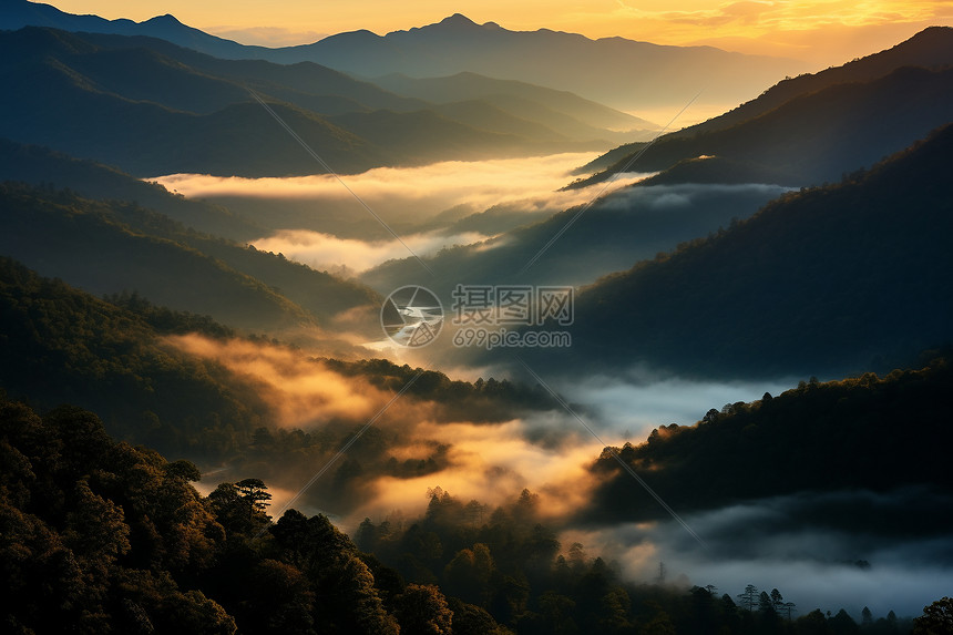 美丽的迷雾山谷图片