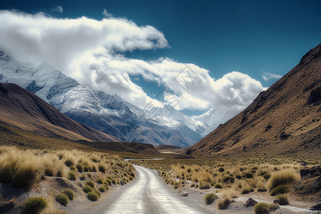 安第斯山脉的公路背景