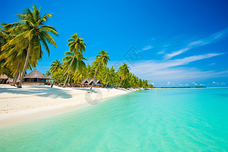 马尔代夫的的度假屋图片