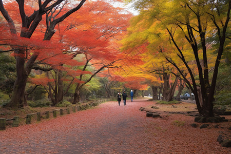 东京公园背景图片