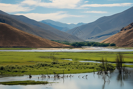 湖泊山谷的风景图片