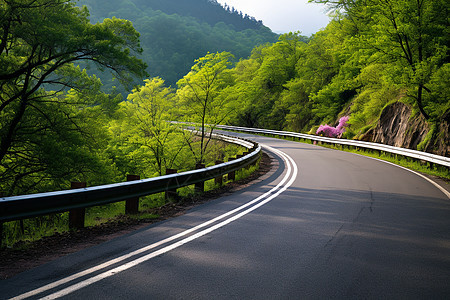 峻曲山道图片