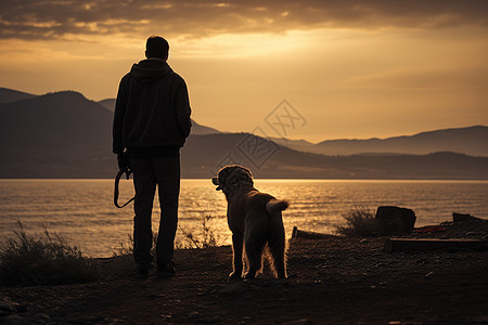 夕阳下的男人与犬图片