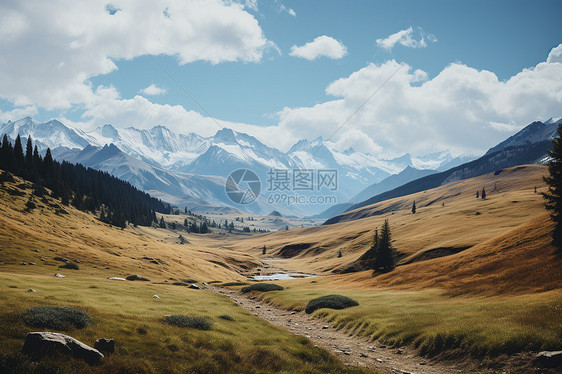 山谷的美丽风景图片