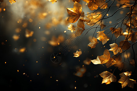 叶子的和谐背景背景图片