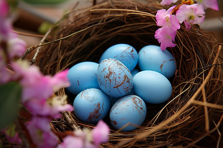 春天的彩蓝蛋巢图片