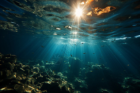 透过水面的阳光照耀图片