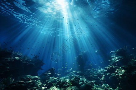 海面海底神奇的水下世界背景