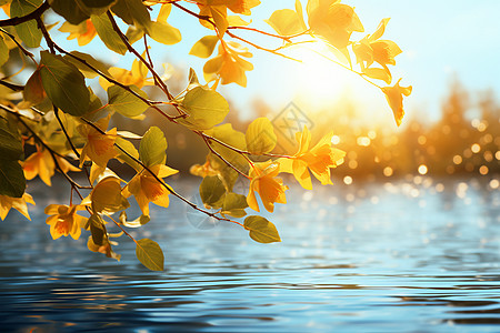 季节金秋湖畔的风景背景