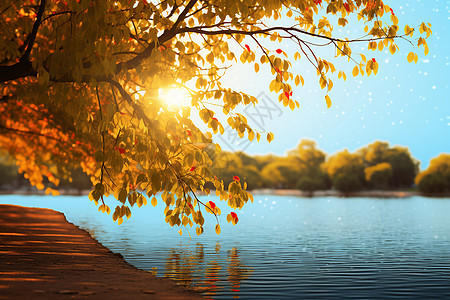 湖畔的美丽秋景图片