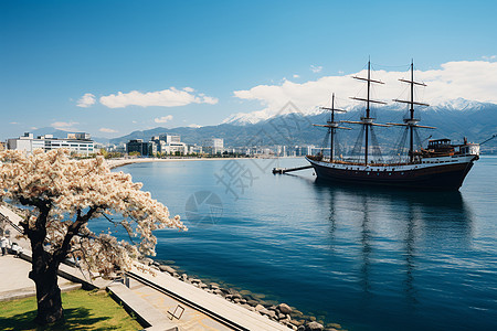 美丽的海边城市图片