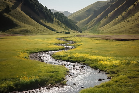 绿色山谷的自然风景图片