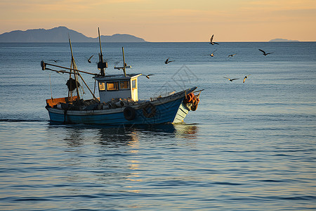 小船与海鸥湖畔渔船背景