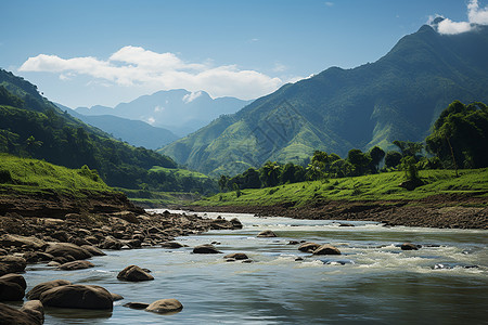 绿谷中的一条河流图片