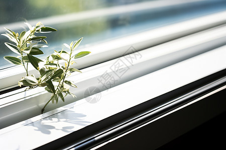放在窗台上的茂盛盆栽背景图片