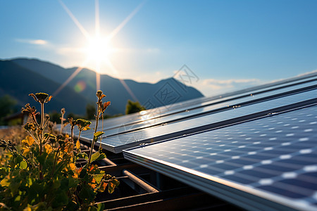 创新科技的太阳能发电板图片