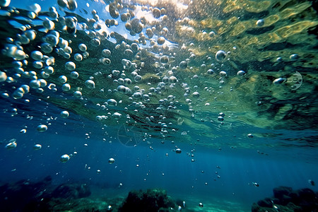 海底世界的微观奇观图片