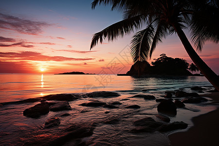 日落时海边的岩石和树木图片