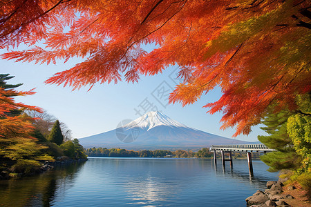 户外的火山和湖泊图片