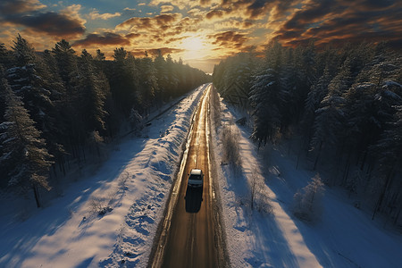 森林道路上行驶的汽车图片