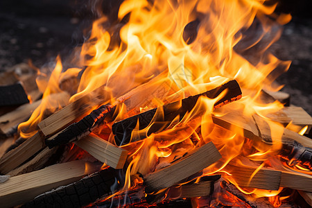 木头燃烧的火焰图片