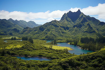 南太平洋的库克群岛背景