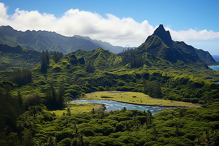 风景如画的热带岛屿图片