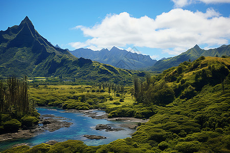 南太平洋岛屿的景色背景