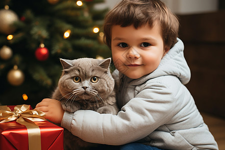 孩子和猫圣诞树前小男孩抱着一只猫背景