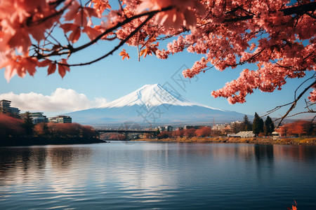 樱花湖前的美丽风景图片