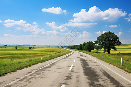 乡村草地中的道路图片