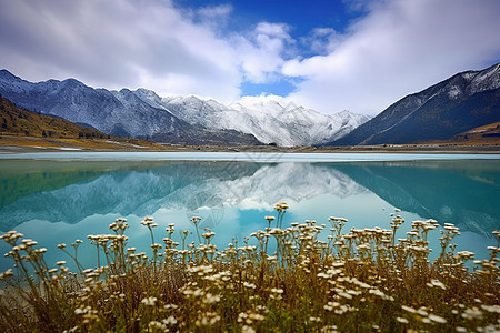 自然美丽风景图片