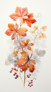 秋天的梧桐叶水墨画图片