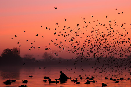 湖边黎明的鸟群图片