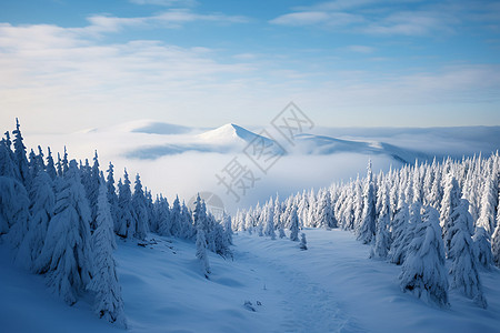 冬日山林飘雪图片