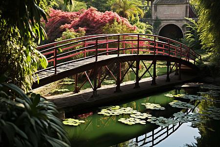 公园池塘上的木桥图片