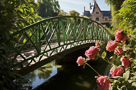木桥旁的粉色花朵图片