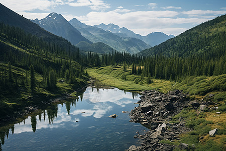 夏季森林山谷的美丽景观图片