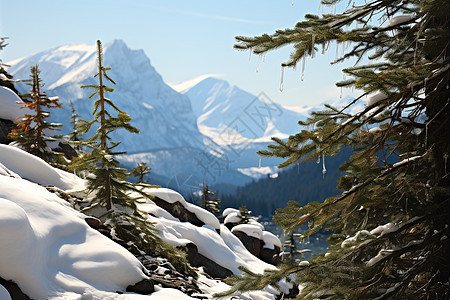 山林冬日的美丽景观图片