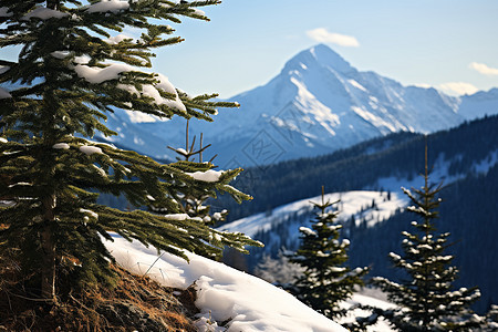 白雪覆盖的雪山景观图片