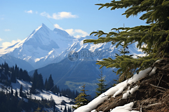美丽的雪山景观图片