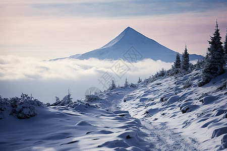 冬日卡尔帕特山脉的雪景图片
